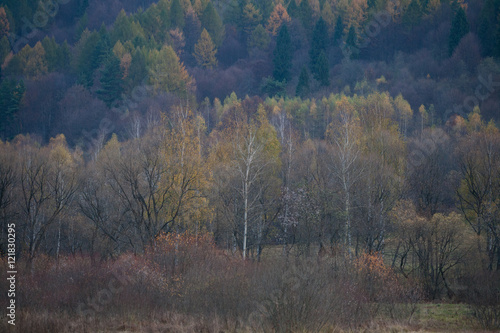 Fototapeta Naklejka Na Ścianę i Meble -  Jesienny las w Bieszczadach - Otryt