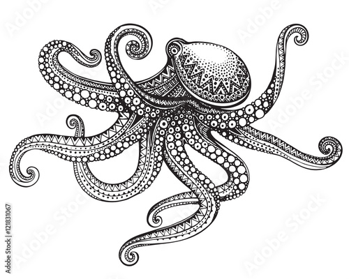Hand drawn octopus in graphic ornate style.