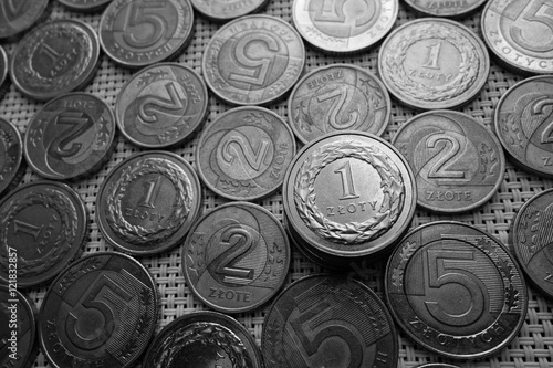Polish zloty currency coins in black and white
