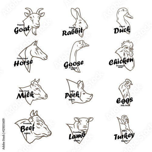 Farm animal heads vector collection. Butchery logo and labels set