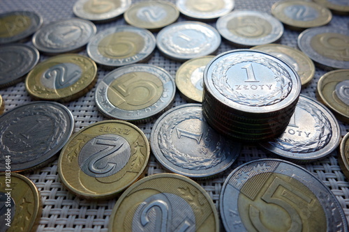 Sniny coins. Polish zloty currency.