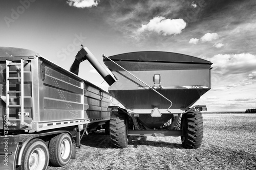 A grain cart unloading canola into truck trailer on harvest field in black and white rural landscape