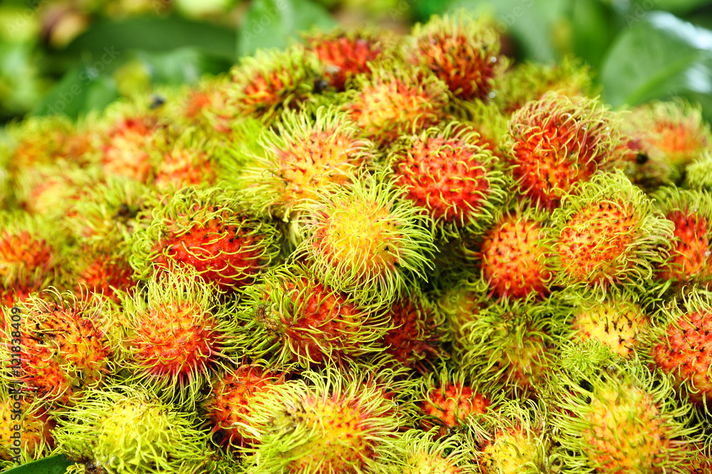 Rambutan fruit in Thailand. Rambutan fruit in Thailand.