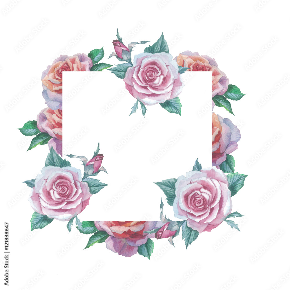 Wildflower rose flower frame in a watercolor style isolated. Full name of the plant: rose, hulthemia, rosa. Aquarelle flower could be used for background, texture, pattern, frame or border.