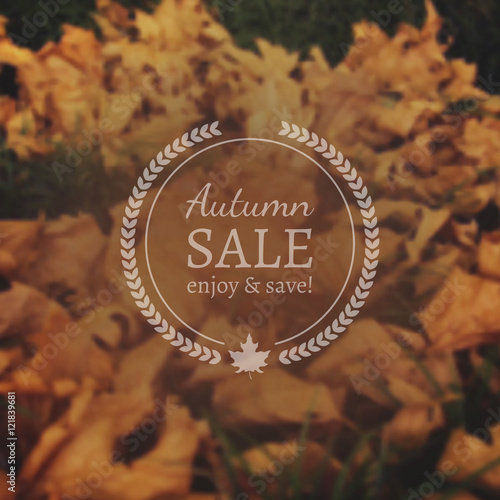 Autumn Sale Vector Banner on Vector Photorealistic Colorful Blur Background