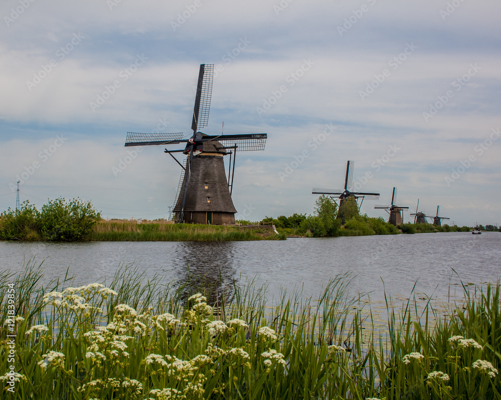 Beautiful Netherlands landscape
