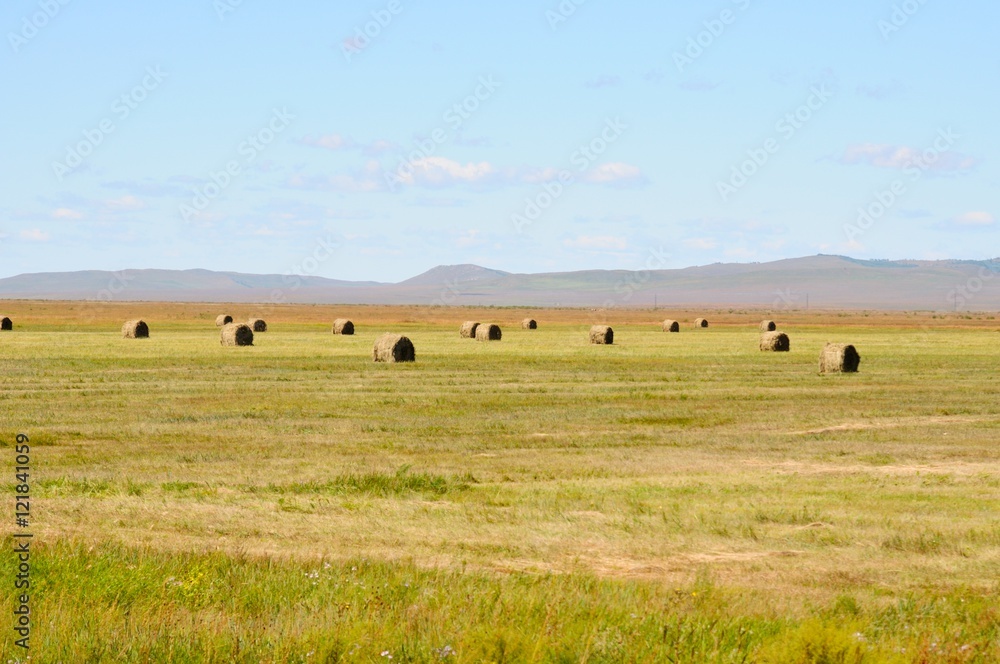 Autumn rural landscape - haystacks in a field