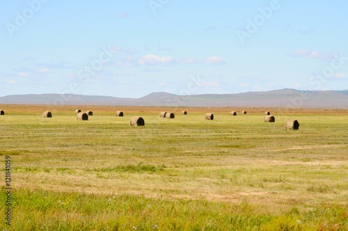 Autumn rural landscape - haystacks in a field