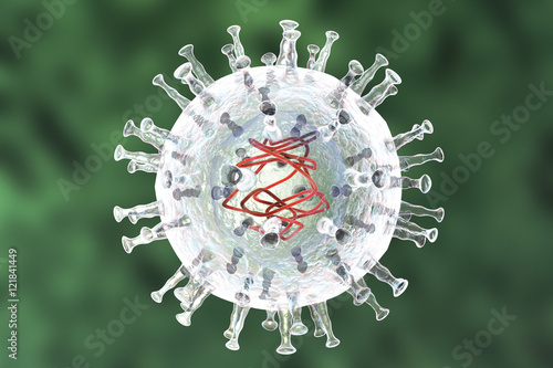 Bilde på lerret African swine fever virus, 3D illustration. DNA enveloped virus