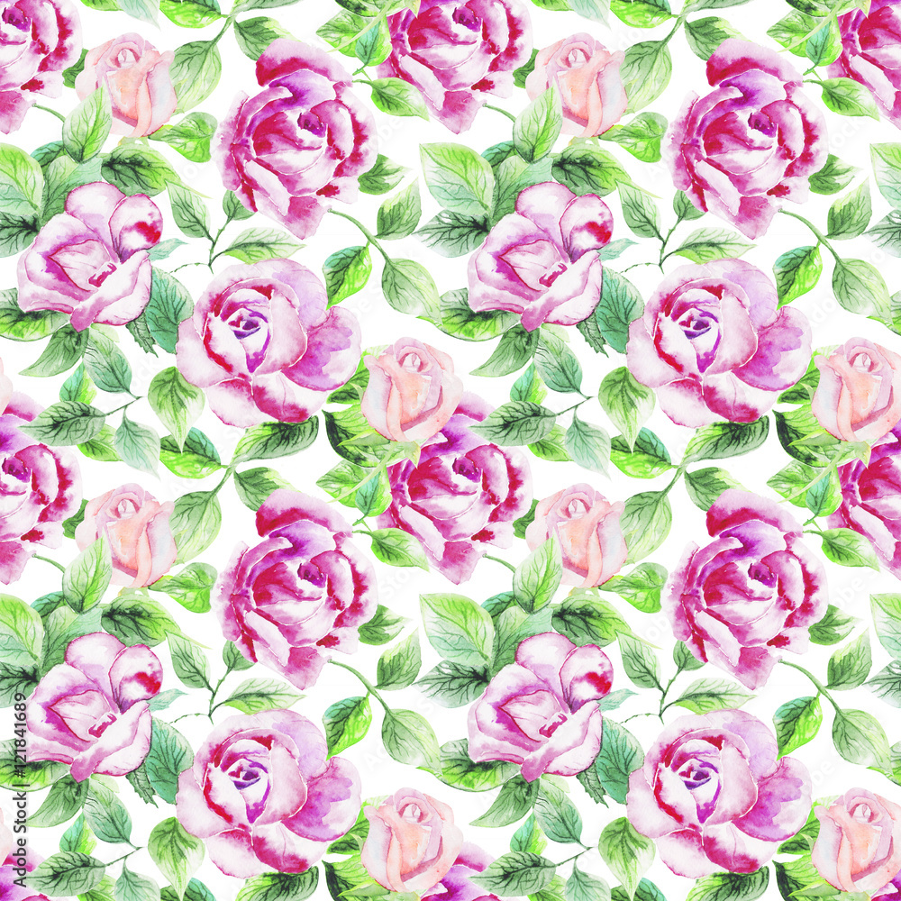 roses in the summer garden, pattern, watercolor