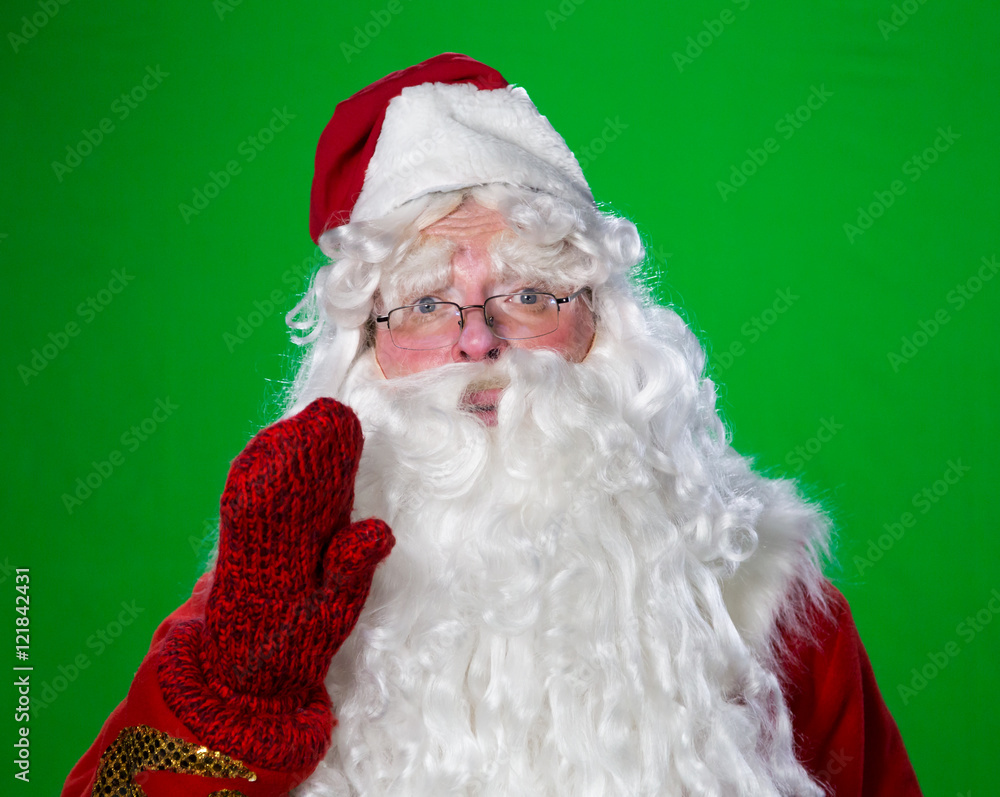 Green father hot sale christmas costume