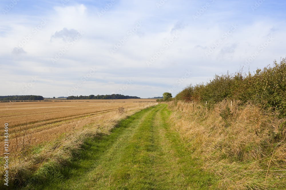 harvested fields and bridleway