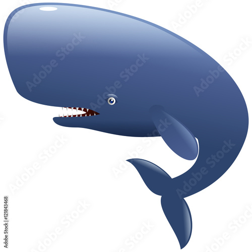 Cute sperm whale mammal cartoon