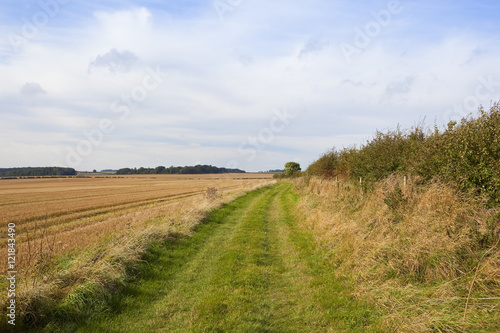 harvested fields and bridleway