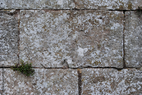 old castle brick wall stone texture