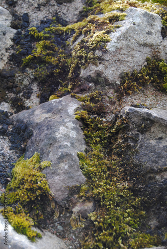 old castle brick wall stone texture