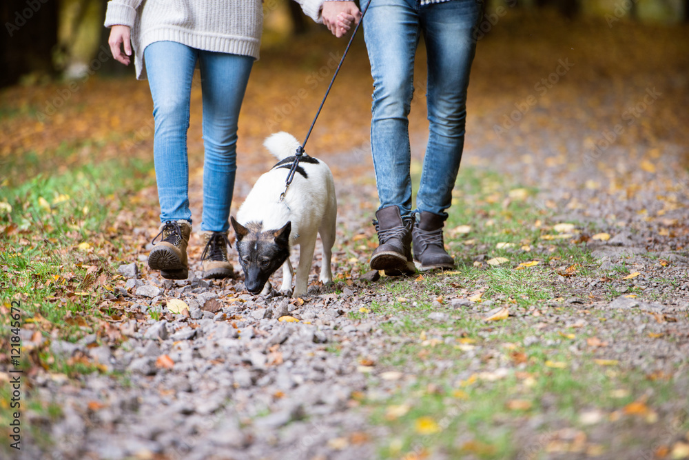 Unrecognizable couple with dog walking in autumn forest