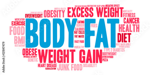 Body Fat Word Cloud on a white background. 