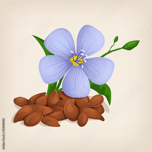 Brown flax seeds with flowers and leaves. Vector illustration.