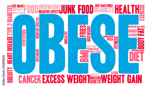 Obese Word Cloud