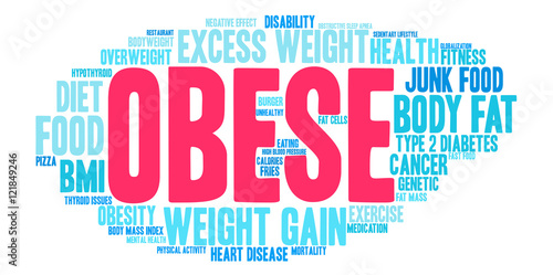 Obese Word Cloud on a white background. 