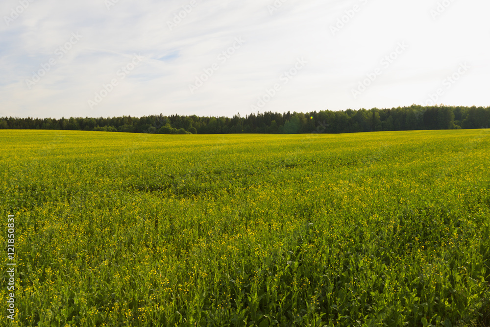 Obraz premium View of farmland.
