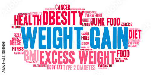 Weight Gain Word Cloud on a white background. 