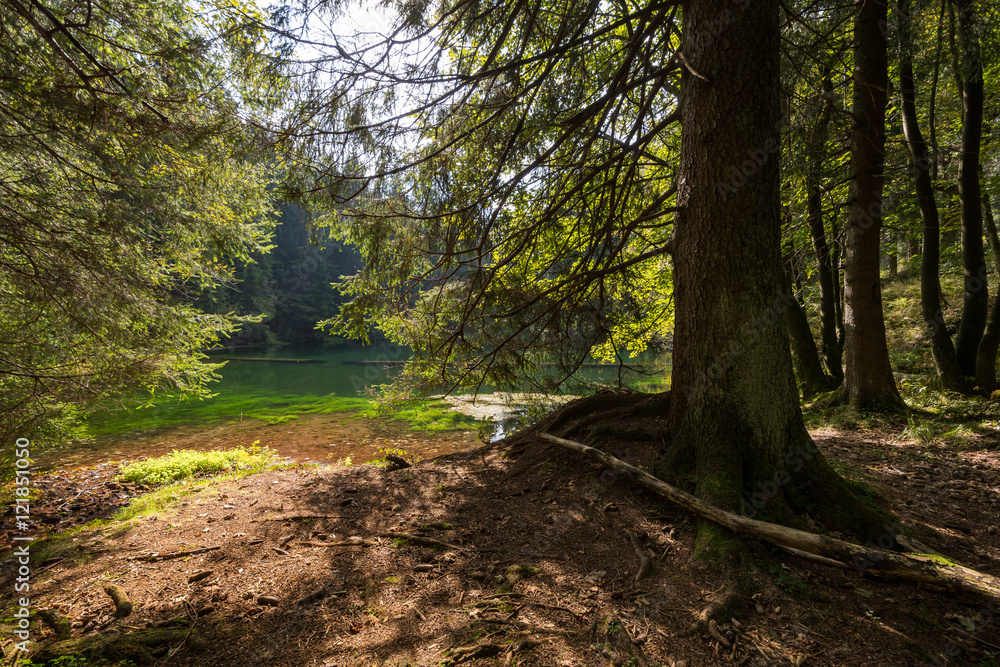Naklejka premium See in Thüringen