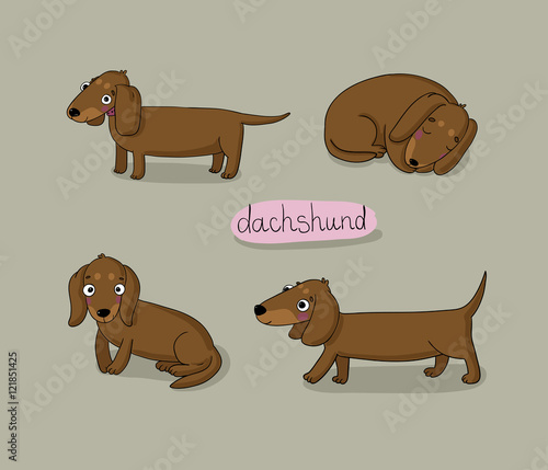 Set of cute dachshund illustration in different poses.