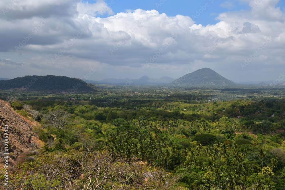 Sri Lankan tropical forest landscape near Dambulla