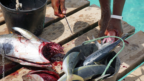 yellow fins tuna