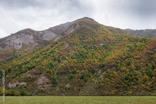 Daryasar  Mazandaran  Iran