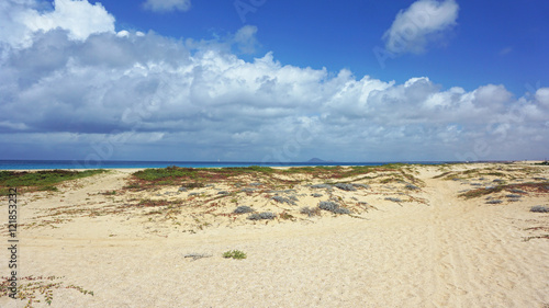 beach of santa maria