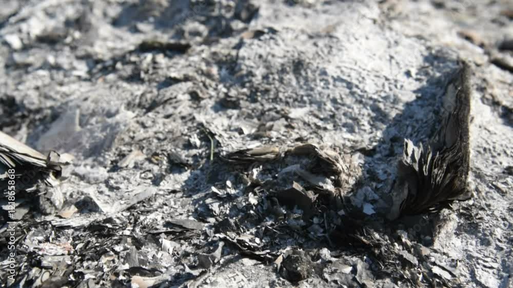 scorched earth scorched earth