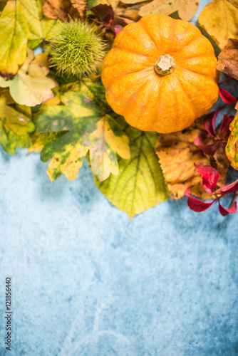 Autumnal colorful vibrant background