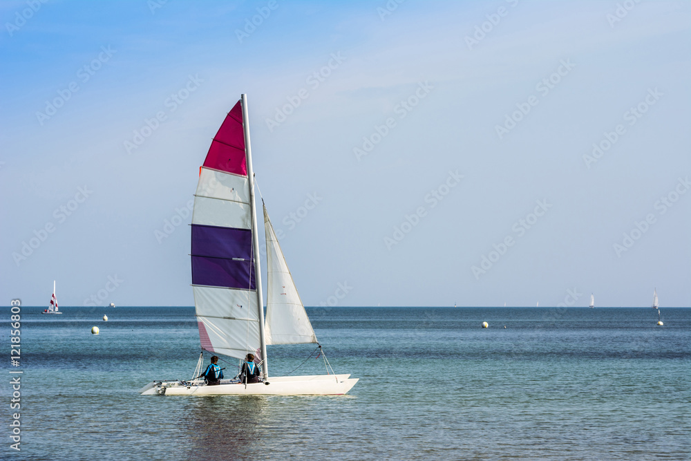 Naklejka premium 6040 Katamaran