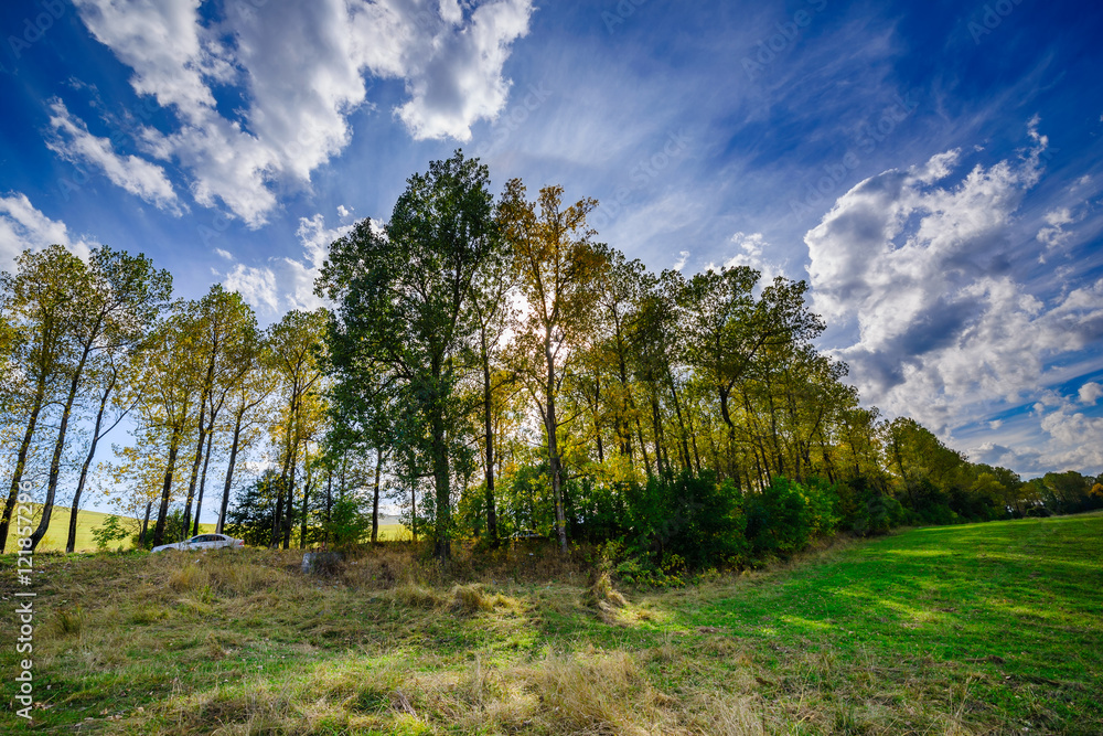 Fabulous cloudscape with beautiful trees, Armenia Fabulous cloudscape with beautiful trees, Armenia