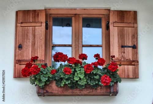 Фотография Flower box
