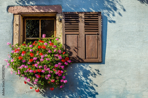 the flowered window photo