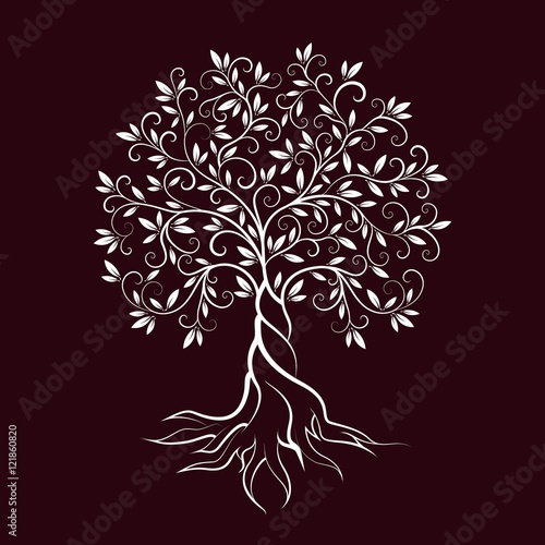 Olive tree outline curl silhouette icon
