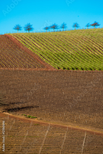 Shapes of Cultivated Land photo