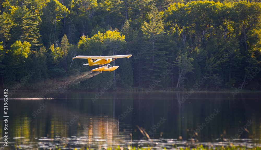 Fototapeta premium Small yellow airplane on pontoons takes off from an Eastern Ontario lake on a summer's evening.