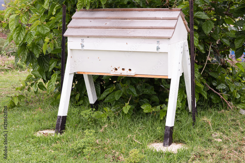 Handmade kenyan top bar beehive against mulberry tree with bees at ...