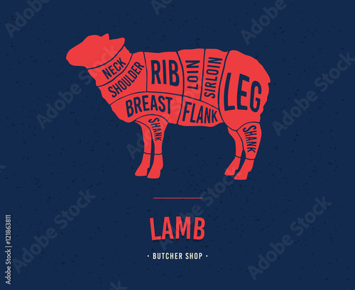 Meat cuts. Diagrams for butcher shop. Scheme of lamb. Animal silhouette lamb. Vector illustration.