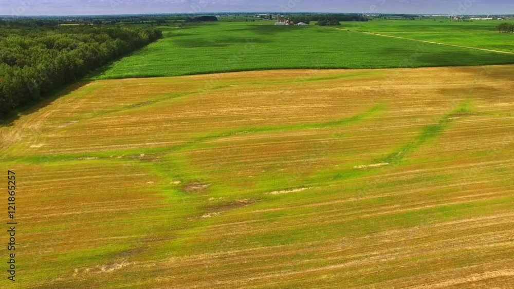 Lush Green Corn Fields of Wisconsin, Aerial Flyover with beautiful cloud shadows moving over too. Lush Green Corn Fields of Wisconsin, Aerial Flyover with beautiful cloud shadows moving over too.