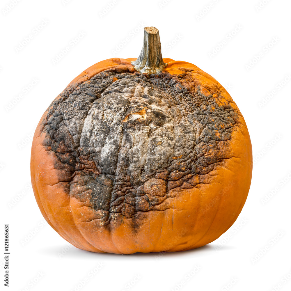 Rotten Pumpkin