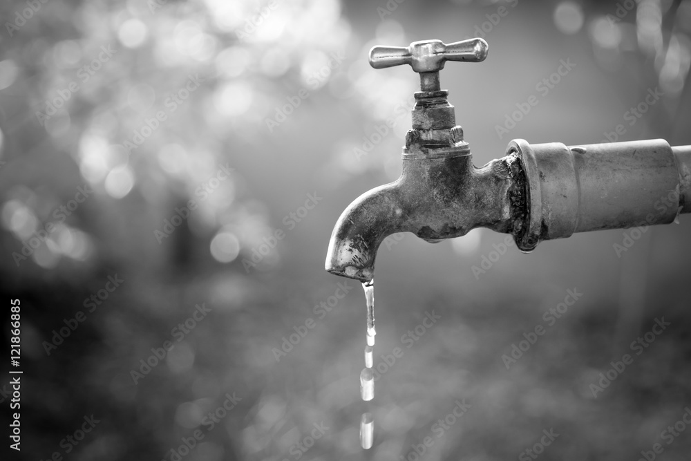 Brass water tap in nature background.(Processed in monochrome colour tone) Brass water tap in nature background.(Processed in monochrome colour tone)