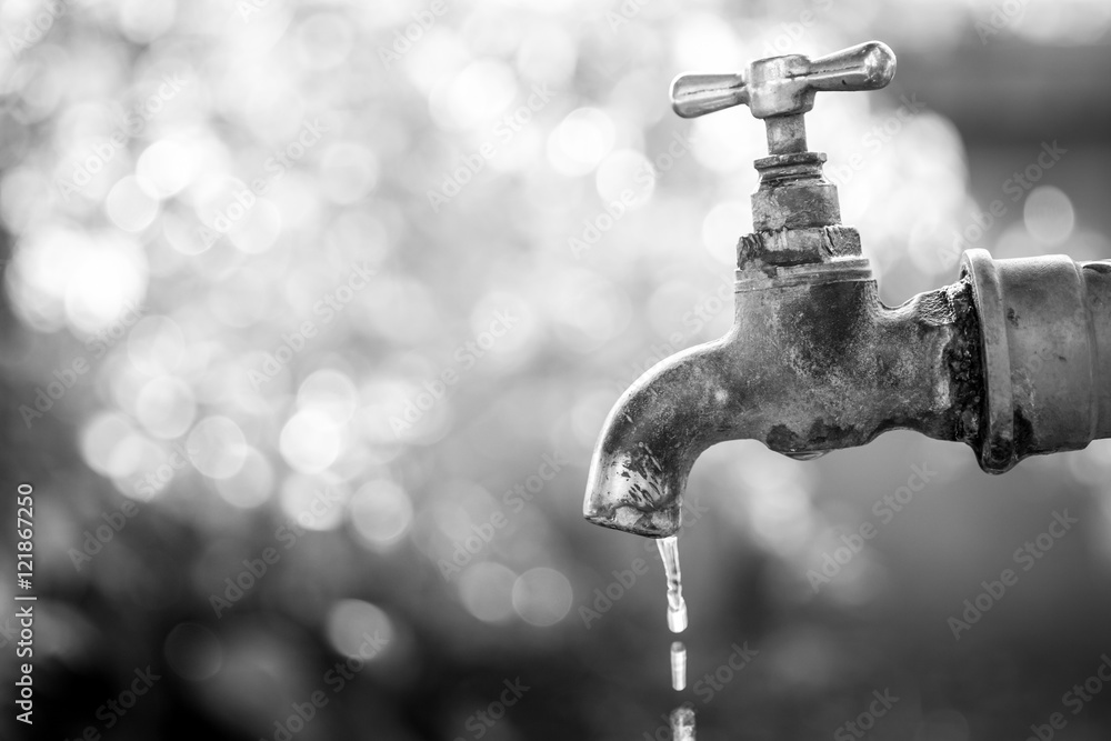 Brass water tap in nature background.(Processed in monochrome colour tone) Brass water tap in nature background.(Processed in monochrome colour tone)