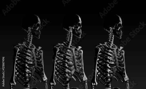 Low poly skeleton portrait side view in low key lighting