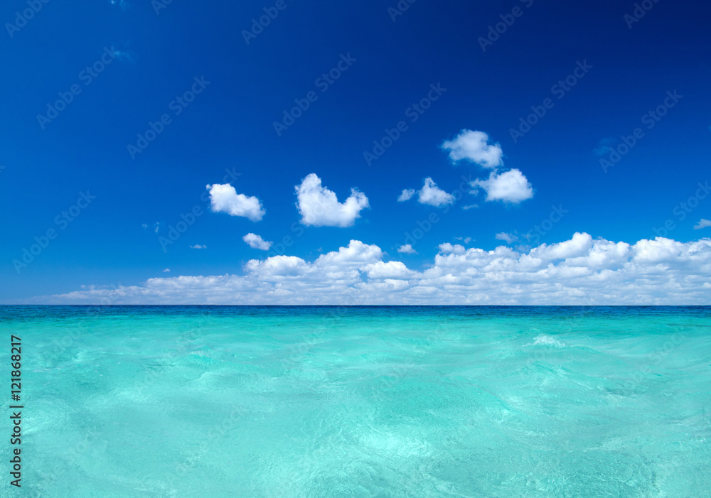 Fototapeta premium beach
